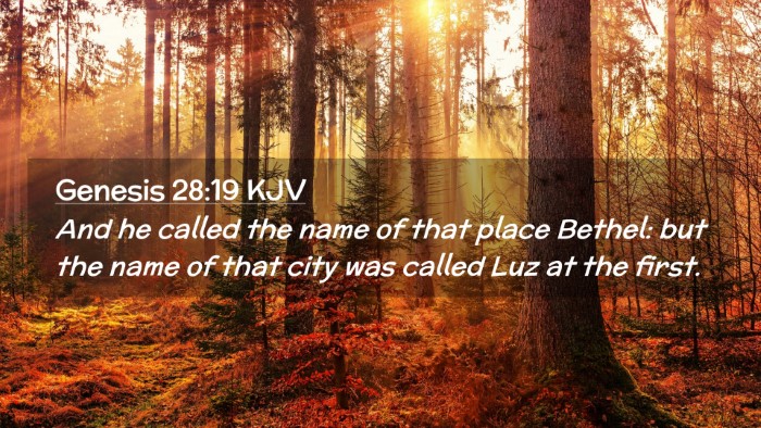 Picture 02 - Genesis 28:19 KJV Desktop Wallpaper - And he called the name of that place Bethel: but - Desktop Bible Verse Wallpaper
