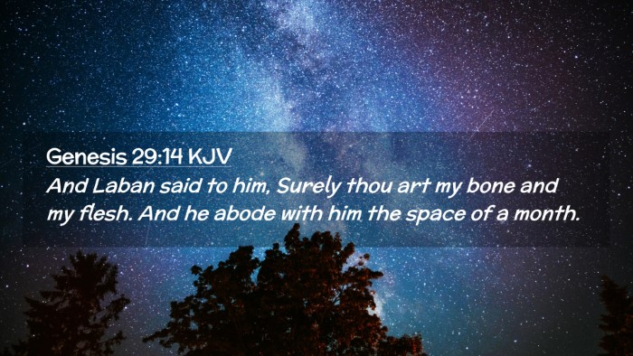 Picture 02 - Genesis 29:14 KJV Desktop Wallpaper - And Laban said to him, Surely thou art my bone - Desktop Bible Verse Wallpaper