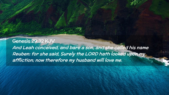 Picture 02 - Genesis 29:32 KJV Desktop Wallpaper - And Leah conceived, and bare a son, and she - Desktop Bible Verse Wallpaper