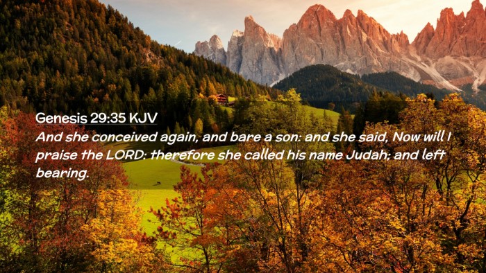Picture 02 - Genesis 29:35 KJV Desktop Wallpaper - And she conceived again, and bare a son: and she - Desktop Bible Verse Wallpaper
