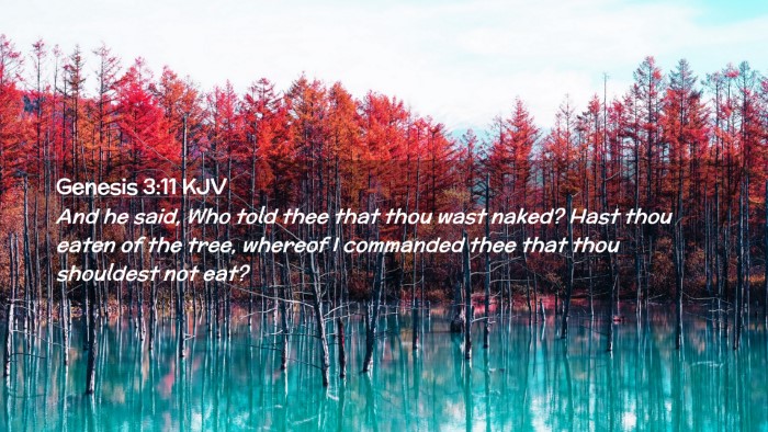 Picture 02 - Genesis 3:11 KJV Desktop Wallpaper - And he said, Who told thee that thou wast naked? - Desktop Bible Verse Wallpaper