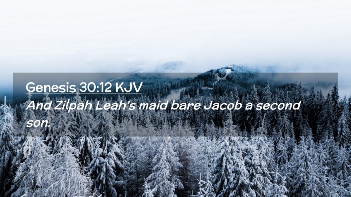 Picture 02 - Genesis 30:12 KJV Desktop Wallpaper - And Zilpah Leah's maid bare Jacob a second - Desktop Bible Verse Wallpaper