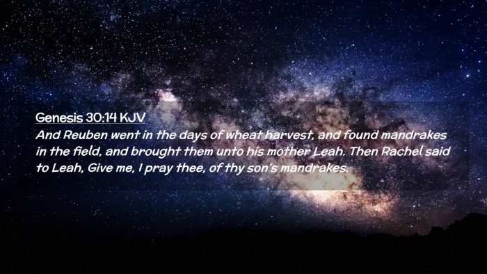 Picture 02 - Genesis 30:14 KJV Desktop Wallpaper - And Reuben went in the days of wheat harvest, and - Desktop Bible Verse Wallpaper