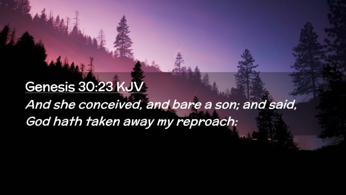 Picture 02 - Genesis 30:23 KJV Desktop Wallpaper - And she conceived, and bare a son; and said, God - Desktop Bible Verse Wallpaper