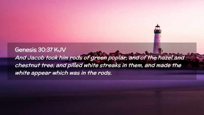 Picture 02 - Genesis 30:37 KJV Desktop Wallpaper - And Jacob took him rods of green poplar, and of - Desktop Bible Verse Wallpaper
