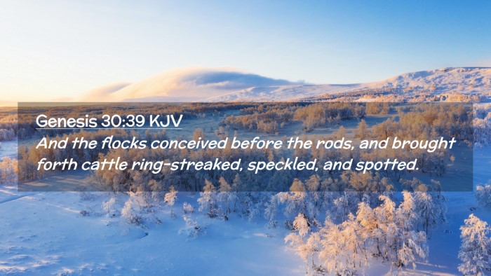 Picture 02 - Genesis 30:39 KJV Desktop Wallpaper - And the flocks conceived before the rods, and - Desktop Bible Verse Wallpaper