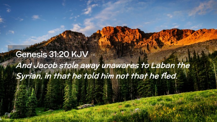 Picture 02 - Genesis 31:20 KJV Desktop Wallpaper - And Jacob stole away unawares to Laban the - Desktop Bible Verse Wallpaper