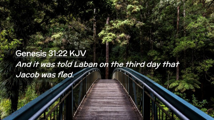 Picture 02 - Genesis 31:22 KJV Desktop Wallpaper - And it was told Laban on the third day that Jacob - Desktop Bible Verse Wallpaper