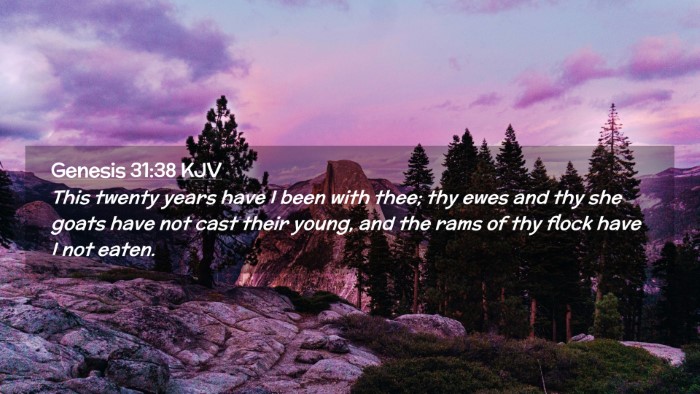 Picture 02 - Genesis 31:38 KJV Desktop Wallpaper - This twenty years have I been with thee; thy ewes - Desktop Bible Verse Wallpaper