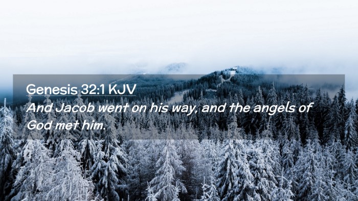 Picture 02 - Genesis 32:1 KJV Desktop Wallpaper - And Jacob went on his way, and the angels of God - Desktop Bible Verse Wallpaper