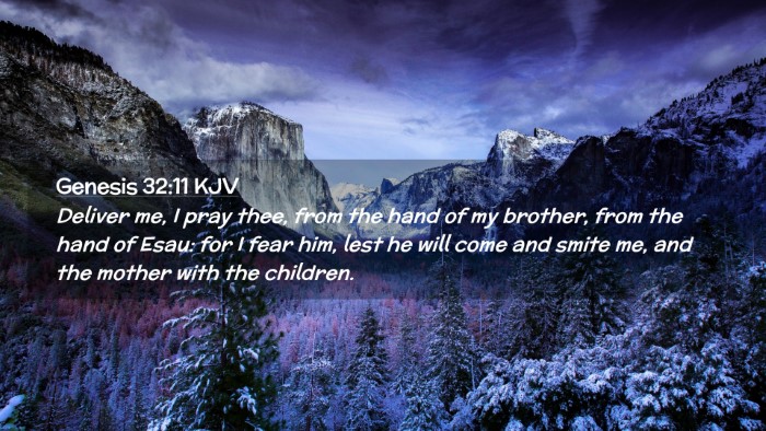 Picture 02 - Genesis 32:11 KJV Desktop Wallpaper - Deliver me, I pray thee, from the hand of my - Desktop Bible Verse Wallpaper