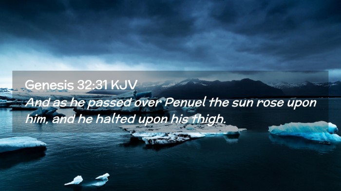 Picture 02 - Genesis 32:31 KJV Desktop Wallpaper - And as he passed over Penuel the sun rose upon - Desktop Bible Verse Wallpaper