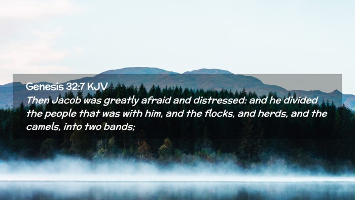 Picture 02 - Genesis 32:7 KJV Desktop Wallpaper - Then Jacob was greatly afraid and distressed: and - Desktop Bible Verse Wallpaper