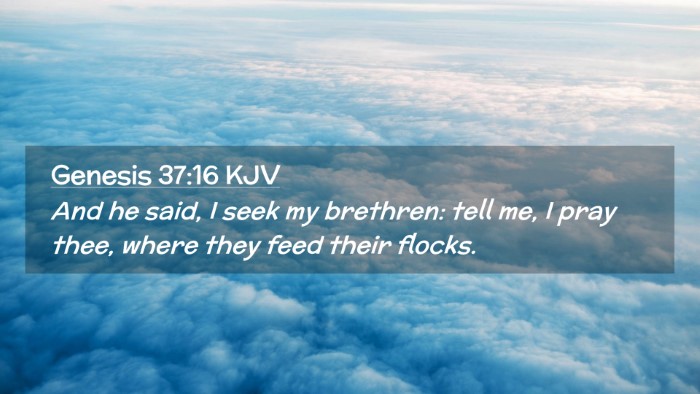 Picture 02 - Genesis 37:16 KJV Desktop Wallpaper - And he said, I seek my brethren: tell me, I pray - Desktop Bible Verse Wallpaper