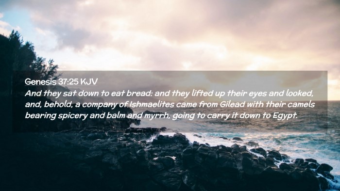 Picture 02 - Genesis 37:25 KJV Desktop Wallpaper - And they sat down to eat bread: and they lifted - Desktop Bible Verse Wallpaper