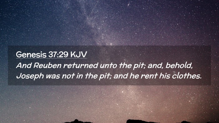 Picture 02 - Genesis 37:29 KJV Desktop Wallpaper - And Reuben returned unto the pit; and, behold, - Desktop Bible Verse Wallpaper