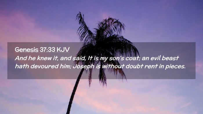 Picture 02 - Genesis 37:33 KJV Desktop Wallpaper - And he knew it, and said, It is my son's coat; an - Desktop Bible Verse Wallpaper