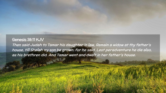 Picture 02 - Genesis 38:11 KJV Desktop Wallpaper - Then said Judah to Tamar his daughter in law, - Desktop Bible Verse Wallpaper