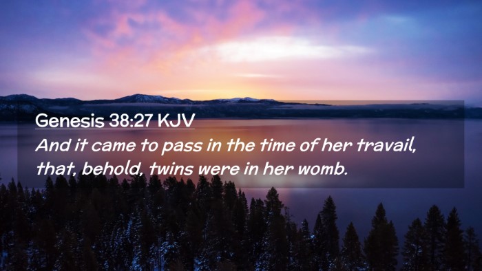 Picture 02 - Genesis 38:27 KJV Desktop Wallpaper - And it came to pass in the time of her travail, - Desktop Bible Verse Wallpaper