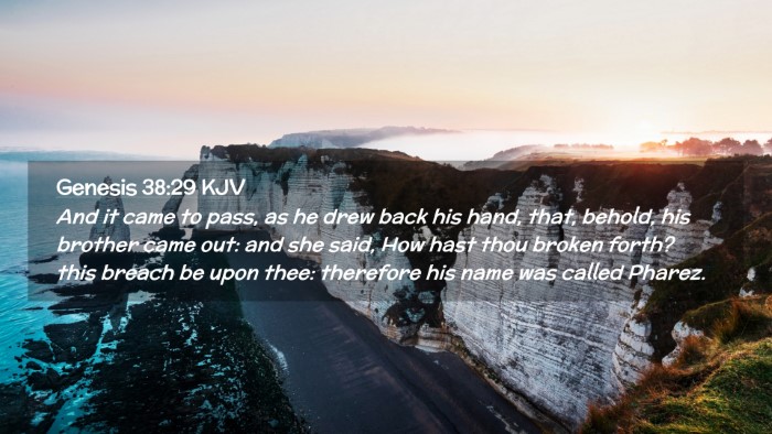 Picture 02 - Genesis 38:29 KJV Desktop Wallpaper - And it came to pass, as he drew back his hand, - Desktop Bible Verse Wallpaper