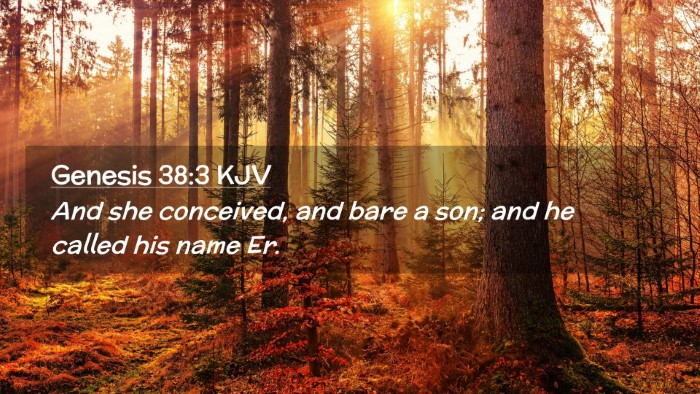 Picture 02 - Genesis 38:3 KJV Desktop Wallpaper - And she conceived, and bare a son; and he called - Desktop Bible Verse Wallpaper