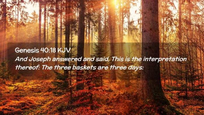 Picture 02 - Genesis 40:18 KJV Desktop Wallpaper - And Joseph answered and said, This is the - Desktop Bible Verse Wallpaper