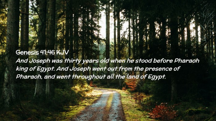 Picture 02 - Genesis 41:46 KJV Desktop Wallpaper - And Joseph was thirty years old when he stood - Desktop Bible Verse Wallpaper
