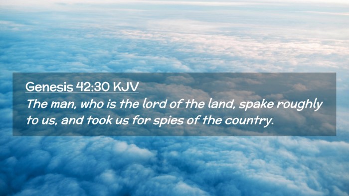 Picture 02 - Genesis 42:30 KJV Desktop Wallpaper - The man, who is the lord of the land, spake - Desktop Bible Verse Wallpaper