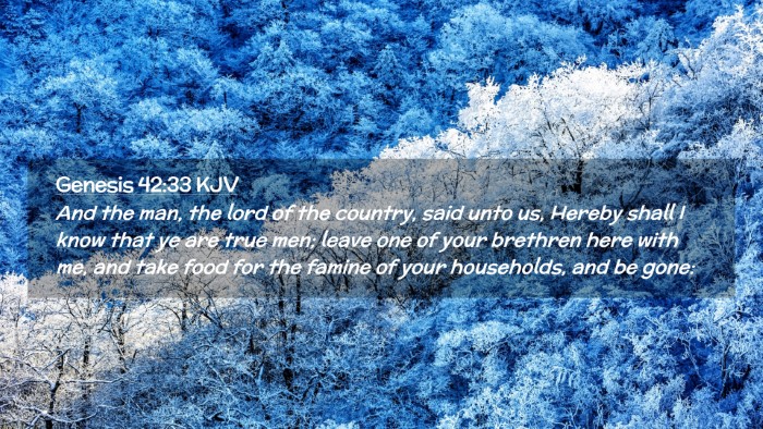 Picture 02 - Genesis 42:33 KJV Desktop Wallpaper - And the man, the lord of the country, said unto - Desktop Bible Verse Wallpaper