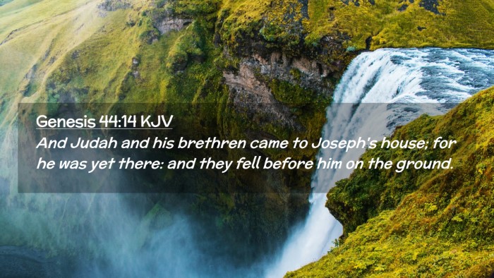 Picture 02 - Genesis 44:14 KJV Desktop Wallpaper - And Judah and his brethren came to Joseph's - Desktop Bible Verse Wallpaper