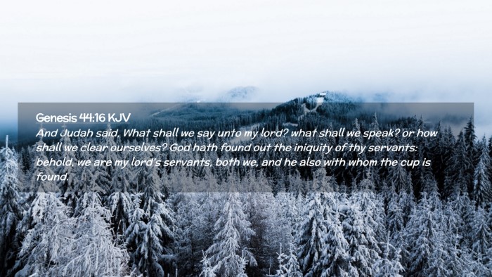 Picture 02 - Genesis 44:16 KJV Desktop Wallpaper - And Judah said, What shall we say unto my lord? - Desktop Bible Verse Wallpaper