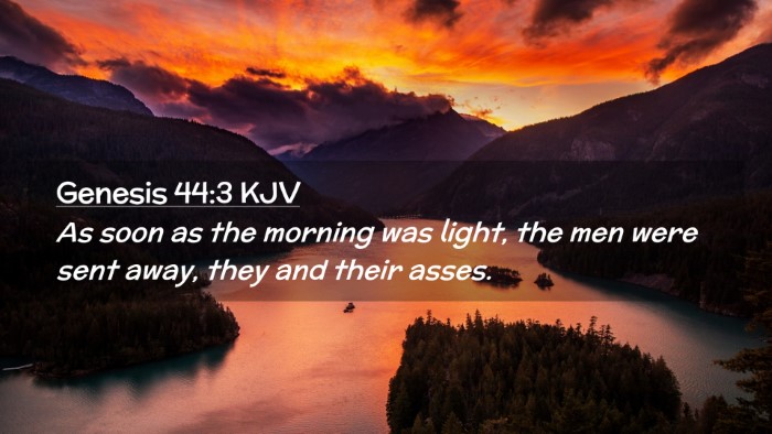Picture 02 - Genesis 44:3 KJV Desktop Wallpaper - As soon as the morning was light, the men were - Desktop Bible Verse Wallpaper