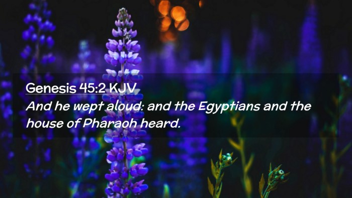 Picture 02 - Genesis 45:2 KJV Desktop Wallpaper - And he wept aloud: and the Egyptians and the - Desktop Bible Verse Wallpaper