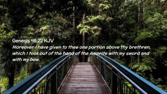 Picture 02 - Genesis 48:22 KJV Desktop Wallpaper - Moreover I have given to thee one portion above - Desktop Bible Verse Wallpaper