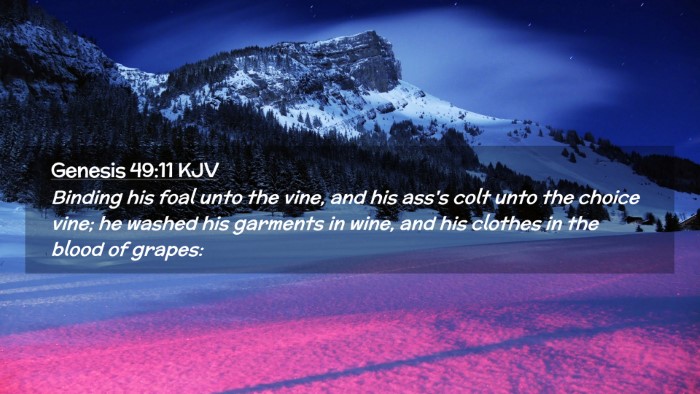 Picture 02 - Genesis 49:11 KJV Desktop Wallpaper - Binding his foal unto the vine, and his ass's - Desktop Bible Verse Wallpaper