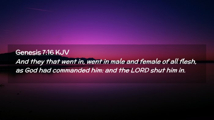 Picture 02 - Genesis 7:16 KJV Desktop Wallpaper - And they that went in, went in male and female of - Desktop Bible Verse Wallpaper