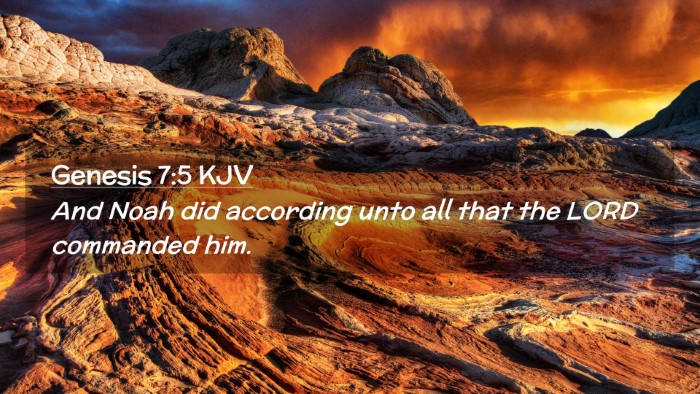 Picture 02 - Genesis 7:5 KJV Desktop Wallpaper - And Noah did according unto all that the LORD - Desktop Bible Verse Wallpaper