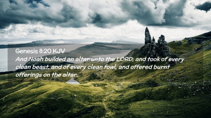 Picture 02 - Genesis 8:20 KJV Desktop Wallpaper - And Noah builded an altar unto the LORD; and took - Desktop Bible Verse Wallpaper