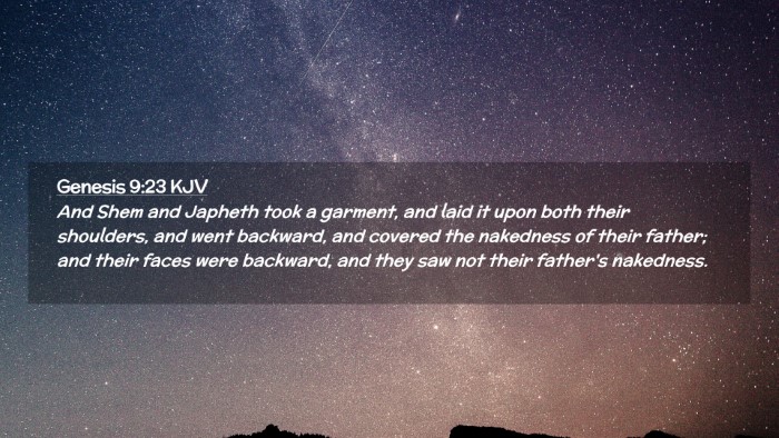 Picture 02 - Genesis 9:23 KJV Desktop Wallpaper - And Shem and Japheth took a garment, and laid it - Desktop Bible Verse Wallpaper