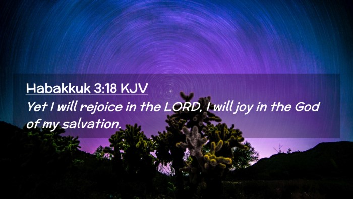 Picture 02 - Habakkuk 3:18 KJV Desktop Wallpaper - Yet I will rejoice in the LORD, I will joy in the - Desktop Bible Verse Wallpaper