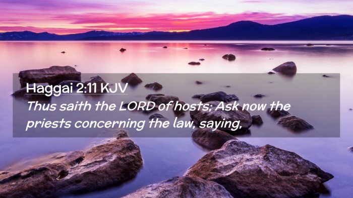 Picture 02 - Haggai 2:11 KJV Desktop Wallpaper - Thus saith the LORD of hosts; Ask now the priests - Desktop Bible Verse Wallpaper