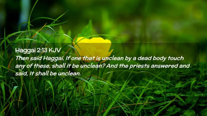 Picture 02 - Haggai 2:13 KJV Desktop Wallpaper - Then said Haggai, If one that is unclean by a - Desktop Bible Verse Wallpaper