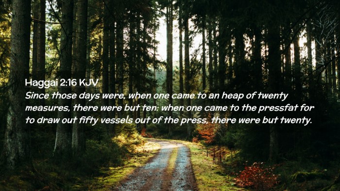 Picture 02 - Haggai 2:16 KJV Desktop Wallpaper - Since those days were, when one came to an heap - Desktop Bible Verse Wallpaper