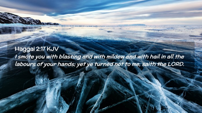 Picture 02 - Haggai 2:17 KJV Desktop Wallpaper - I smote you with blasting and with mildew and - Desktop Bible Verse Wallpaper