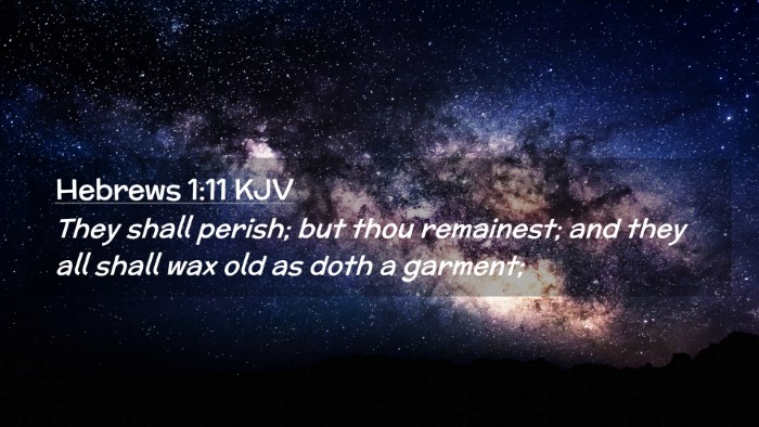 Picture 02 - Hebrews 1:11 KJV Desktop Wallpaper - They shall perish; but thou remainest; and they - Desktop Bible Verse Wallpaper