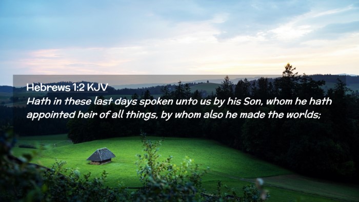 Picture 02 - Hebrews 1:2 KJV Desktop Wallpaper - Hath in these last days spoken unto us by his - Desktop Bible Verse Wallpaper