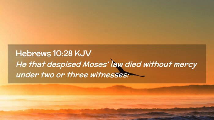 Picture 02 - Hebrews 10:28 KJV Desktop Wallpaper - He that despised Moses' law died without mercy - Desktop Bible Verse Wallpaper