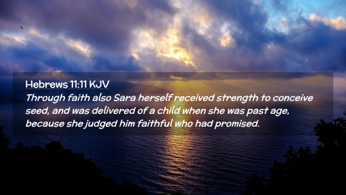 Picture 02 - Hebrews 11:11 KJV Desktop Wallpaper - Through faith also Sara herself received strength - Desktop Bible Verse Wallpaper