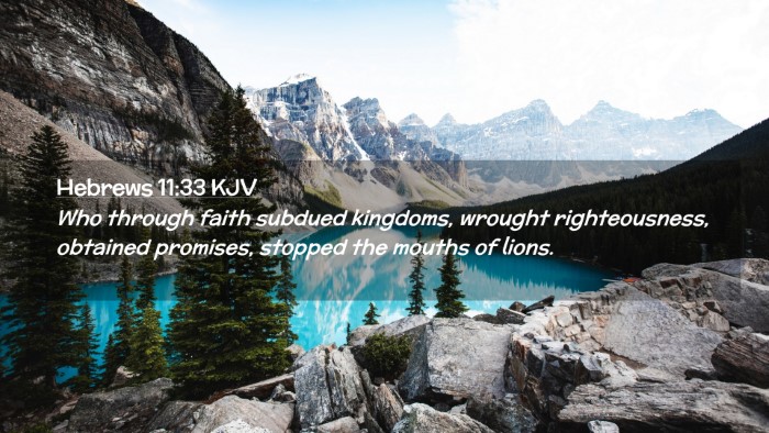 Picture 02 - Hebrews 11:33 KJV Desktop Wallpaper - Who through faith subdued kingdoms, wrought - Desktop Bible Verse Wallpaper