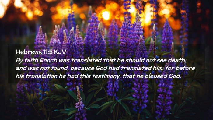 Picture 02 - Hebrews 11:5 KJV Desktop Wallpaper - By faith Enoch was translated that he should not - Desktop Bible Verse Wallpaper
